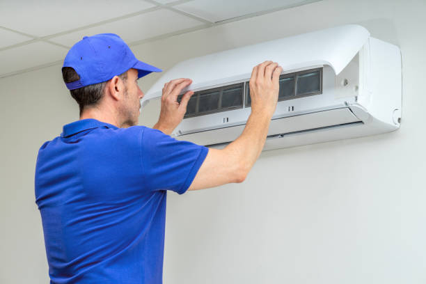 Air Duct Mold Removal in Ahuimanu, HI
